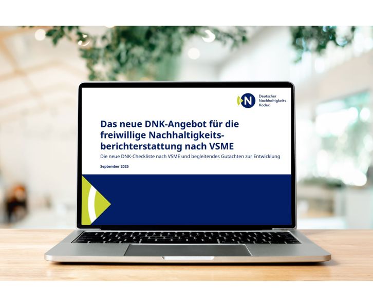 DNK-Checkliste für das VSME-Modul